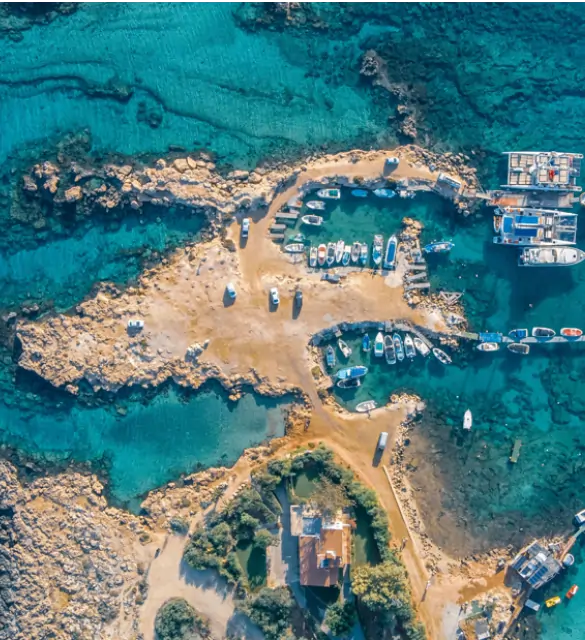 corporate case study